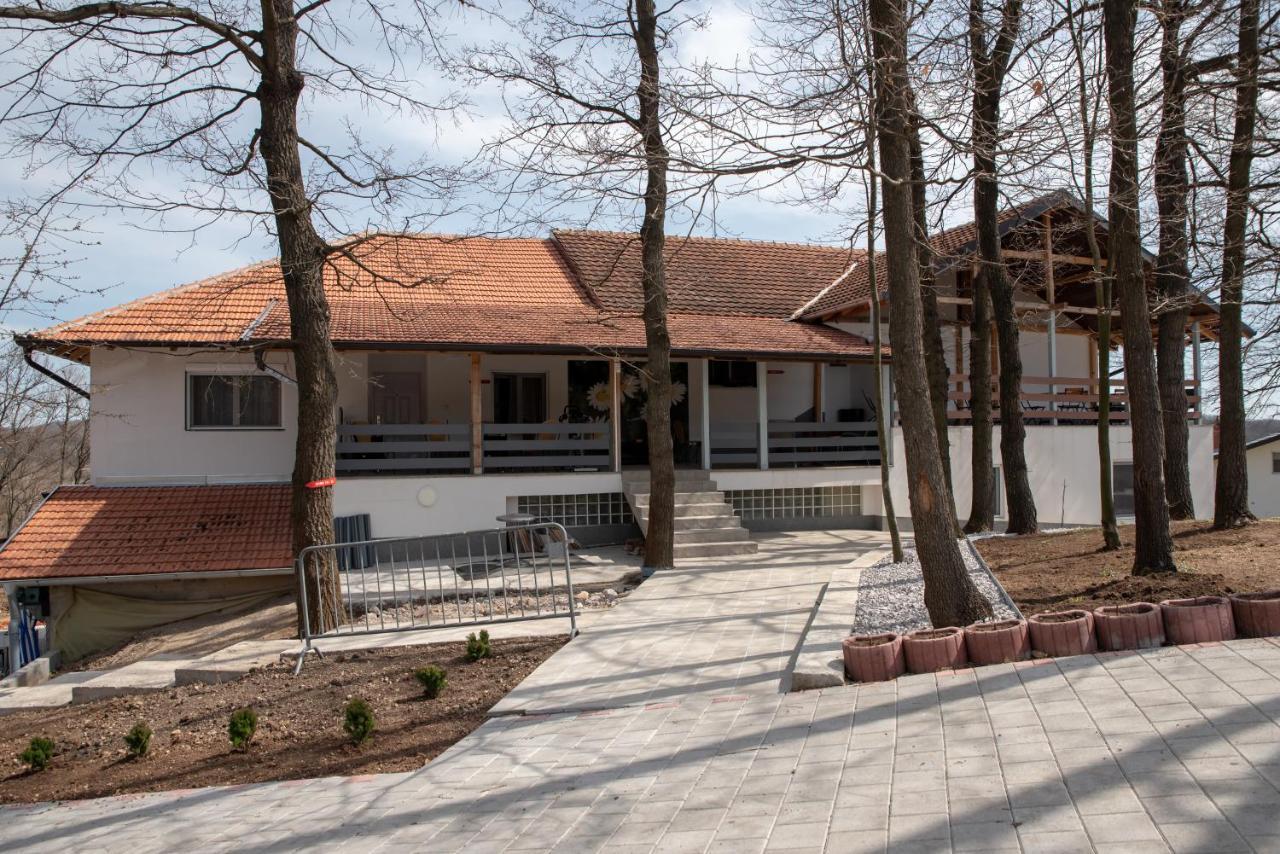 Konak Ljubica Rtanj Boljevac Exterior photo